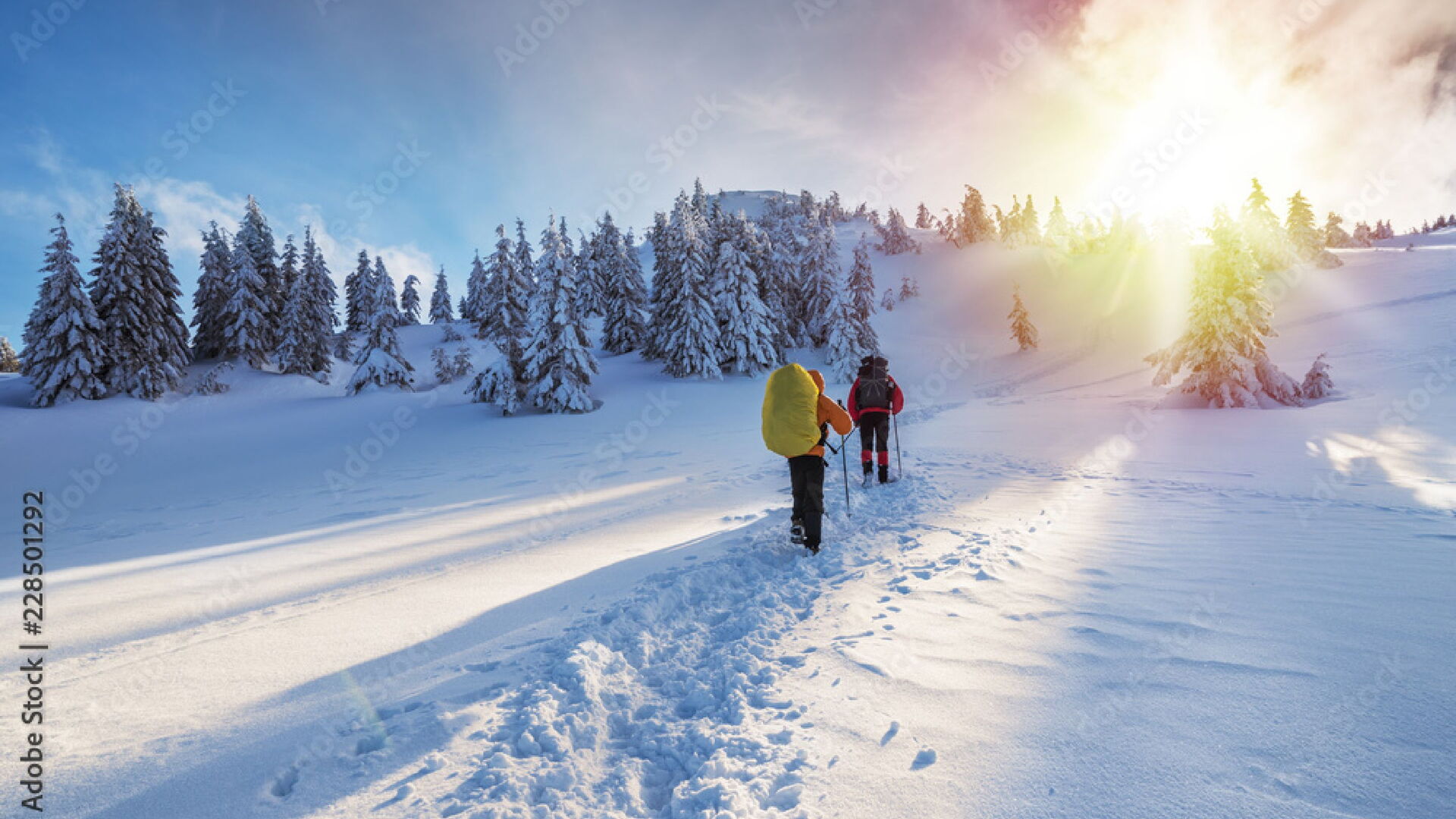 Winterwandern